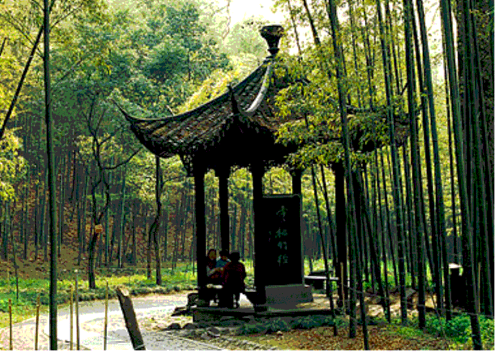 开云手机在线登陆入口